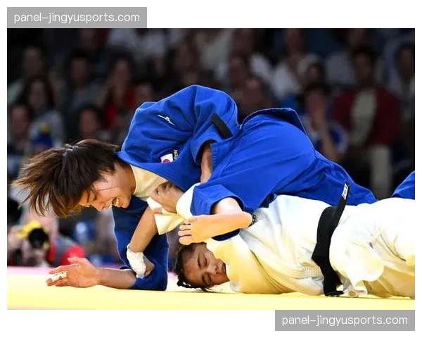 2026年第一季度柔道装备全球销售额同比增长15%，奥运效应显现